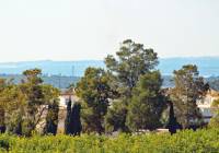 Venta - Villa - Guardamar del Segura - El Raso