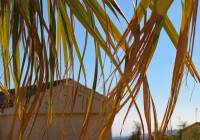 Venta - Villa - Monforte del Cid - Montecid