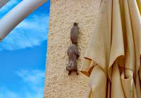 Venta - Villa - Monforte del Cid - Montecid