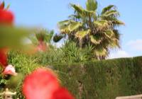 Venta - Villa - Monforte del Cid - Montecid