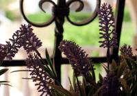 Venta - Villa - Monforte del Cid - Montecid