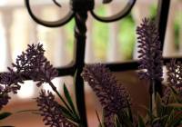 Venta - Villa - Monforte del Cid - Montecid