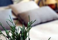 Venta - Villa - Monforte del Cid - Montecid