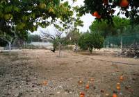 Venta - Villa - San Vicente del Raspeig - Partida Boqueres