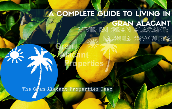 A Complete Guide to Living in Gran Alacant