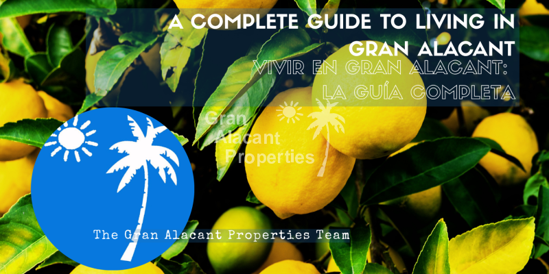 A Complete Guide to Living in Gran Alacant